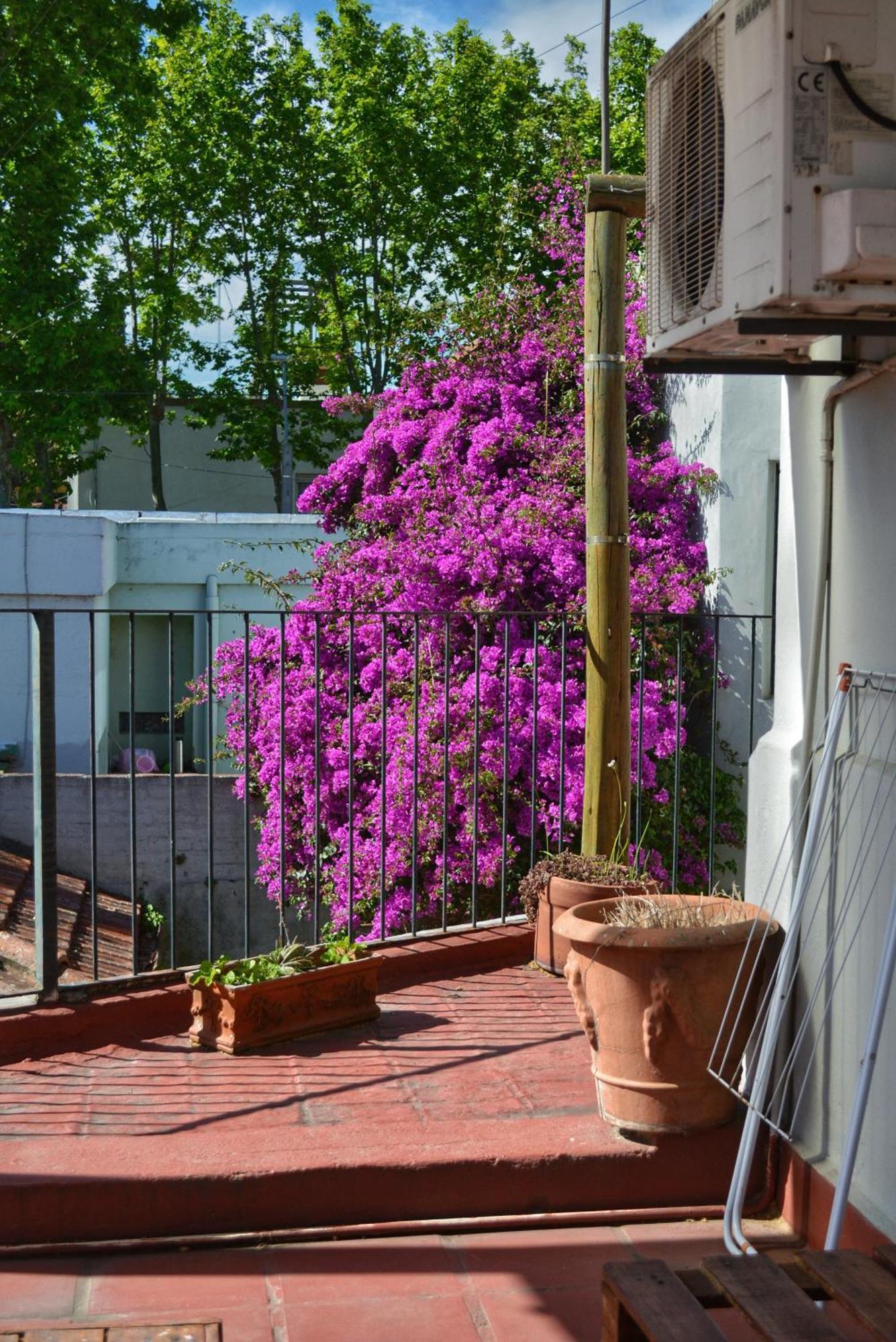 Posada Santa Rita Colonia del Sacramento Kültér fotó